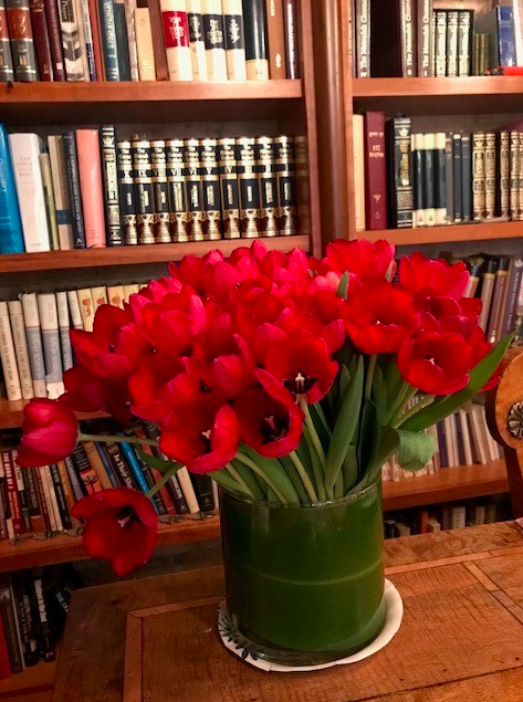 tulips